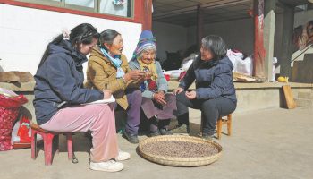Traditional Chinese herbal culture finds global appeal in skincare industry