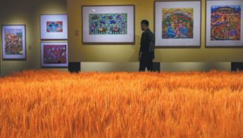 Artistic farmers paint a clear picture of rural China’s progress